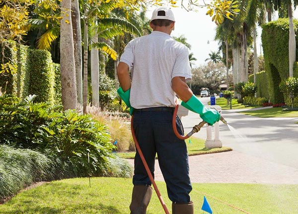 About Denham Springs LA Pest Control